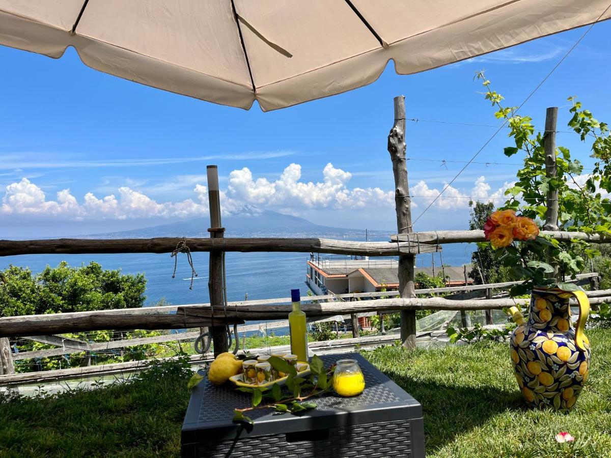 Вилла La Badia Montechiaro - Breathtaking View Of Sorrento Coast Вико-Экуенсе Экстерьер фото